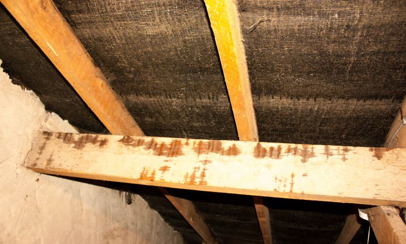 Water Damage Ceiling Repair in Santa Rosa, CA